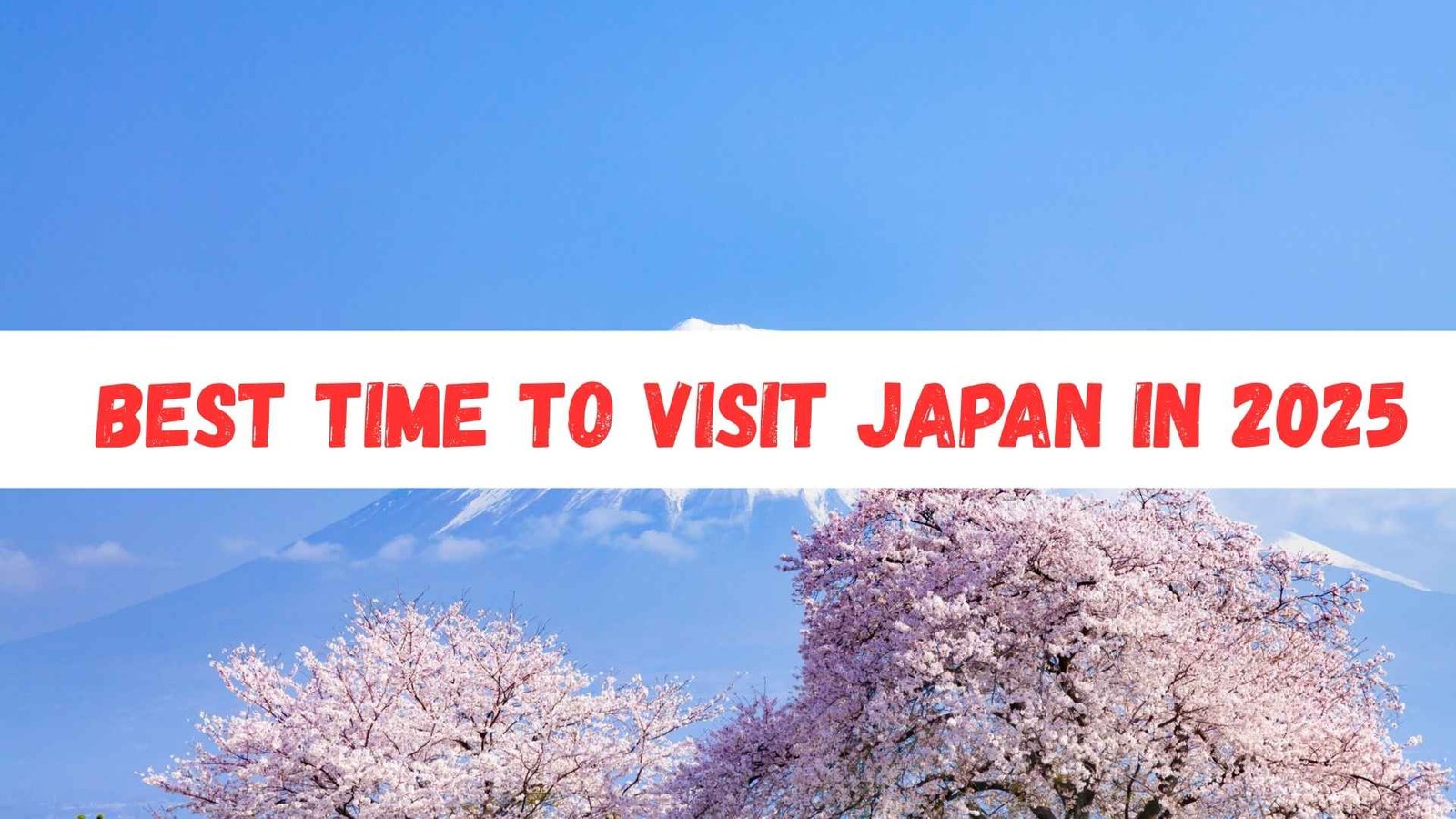 Best Time to Visit Japan in 2025