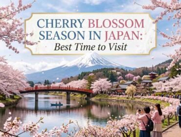 Cherry Blossom Season in Japan